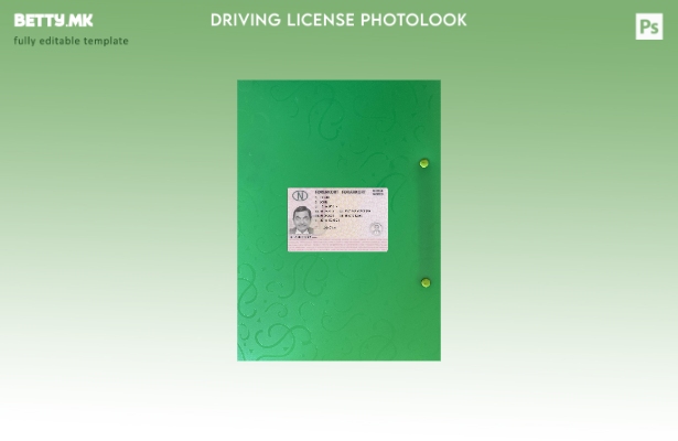 Модерен стил Норвешка возачка дозвола претставува преден шаблон со фото изглед